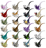 Feathered Raptor Adopts (20/24 OPEN)