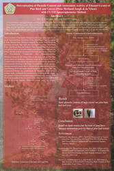 Artikel Poster - Pine's Bark