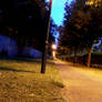 Night path