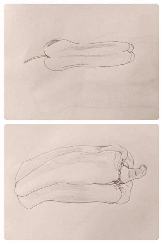 Green pepper Exercise - Keys to drawing by JustcallmePaul on DeviantArt