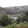 A View Of Rydal Water