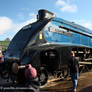 4498 (60007) Sir Nigel Gresley