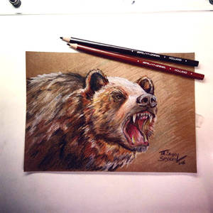 Bear with Bruynzeel pencils