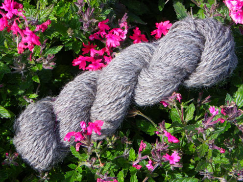 Icelandic Wool