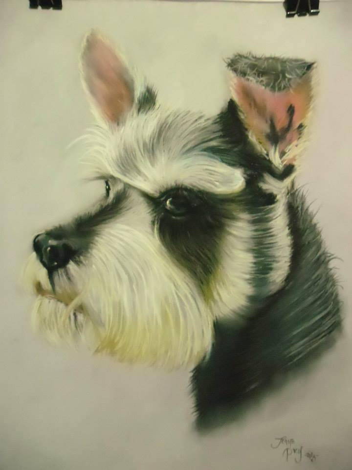 Schnauzer by JorgePicos Schnauzer by JorgePicos