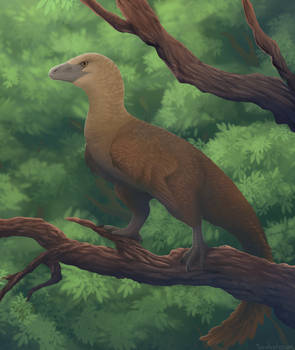 archaeopteryx [timelapse]