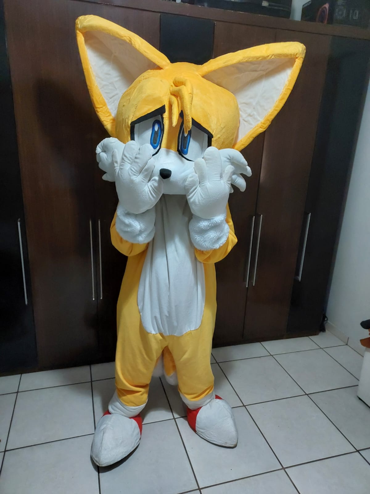 Tails Cosplay 05 Sad By MilosNoahYasashisa On DeviantArt tails-cosplay-05-sad-by-milosnoahyasashisa-on-deviantart