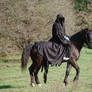 Nazgul on horse