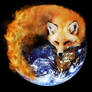 Firefox revisite