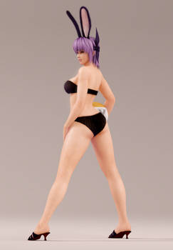 Ayane 3DS Render 30