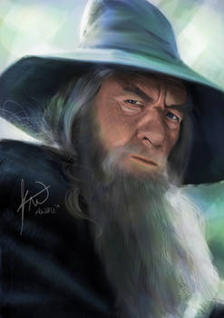 Portrait - Gandalf (Ian McKellen)