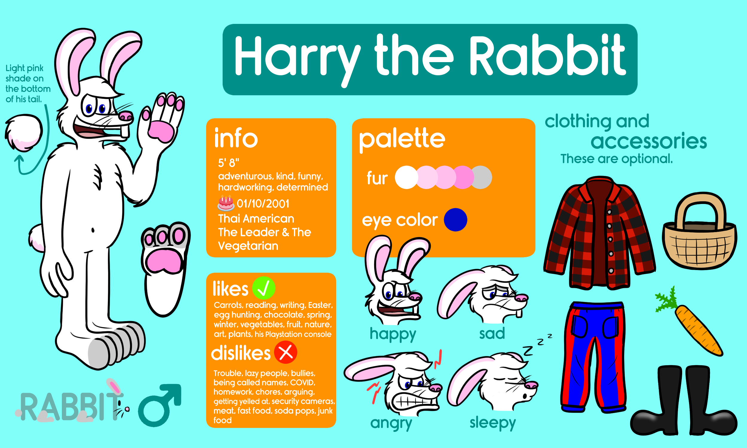 Harry the Rabbit Ref Sheet 2023 by FrankCookiefox on DeviantArt