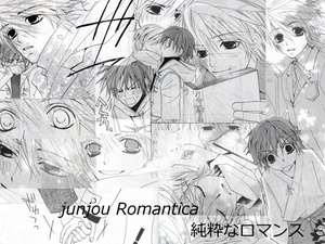 Junjou Romantica Club ID Entry