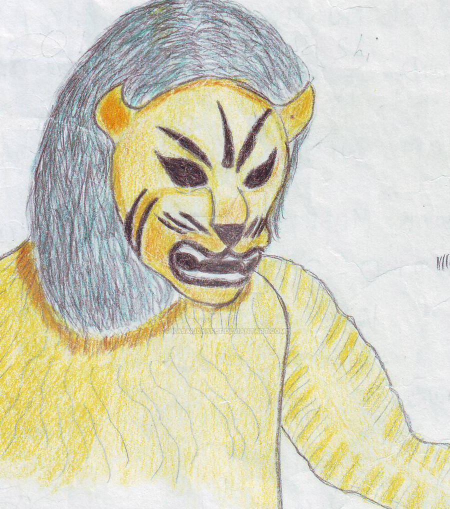 Lion Masked Man