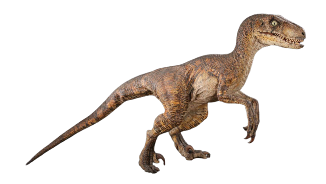 The lost world female velociraptor no background by AbrarZaim on DeviantArt
