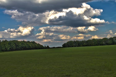 Hatfield House Field