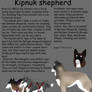 Kipnuk Shepard