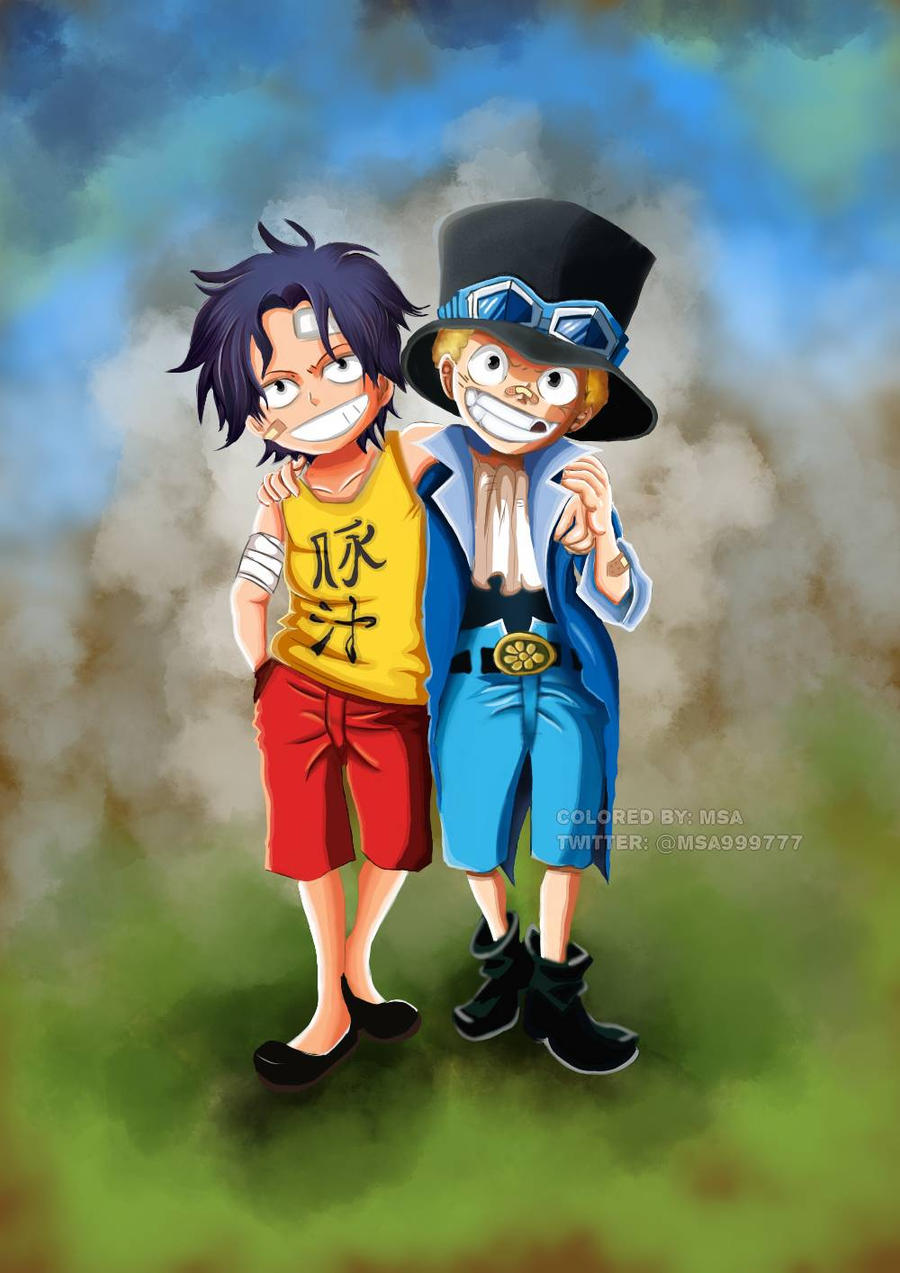 Ace And Sabo One Piece Art By Msa997 On Deviantart
