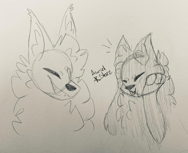 More cats gosh dang it by Azztarz on DeviantArt More cats gosh dang it by Azztarz on DeviantArt
