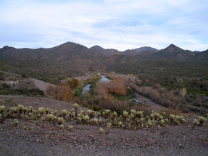 Arizona Landscape 2