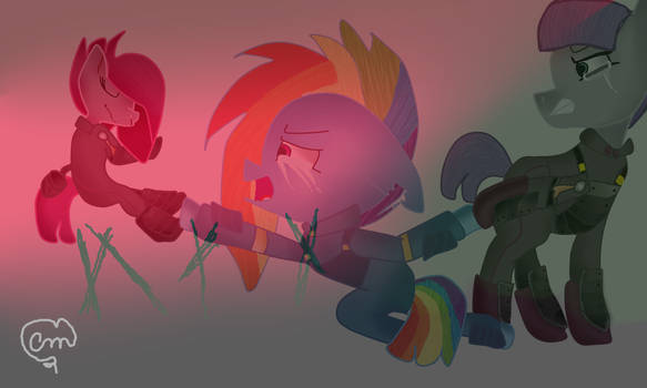 Warriors MLP