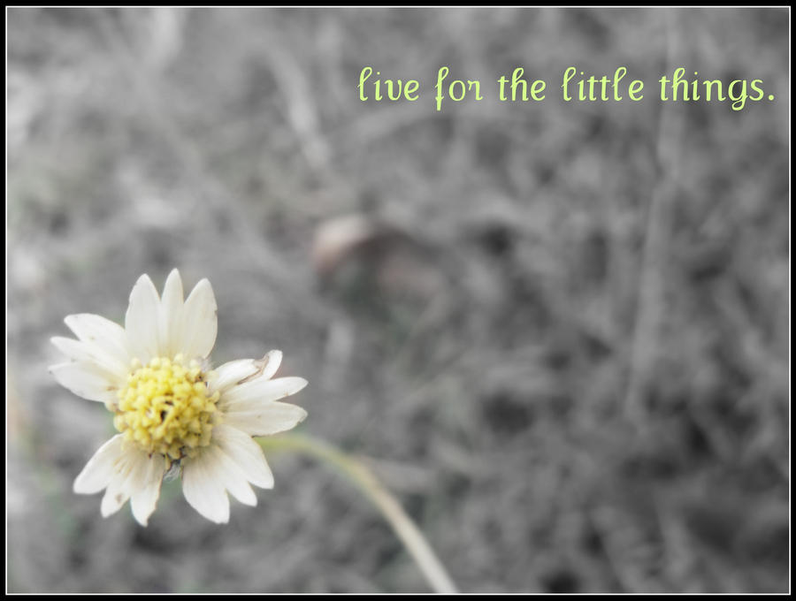 live for the little things.