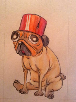 Pug in Fez