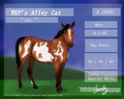 WRP's Alley Cat || Cat