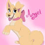 Angel again xD