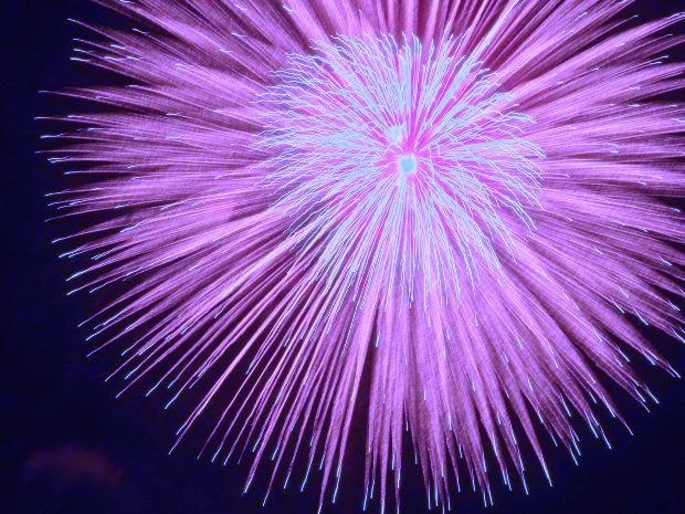 James-sahn-firework-flower