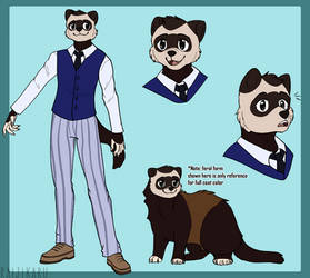 Scout the Ferret (Name Pending) Ref Sheet