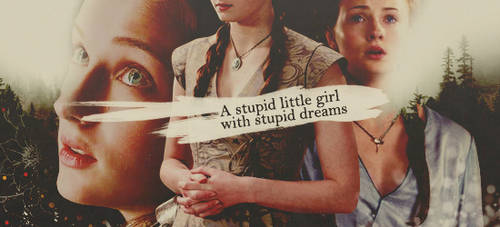 Stupid Little Girl Banner