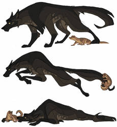 Animal Guides