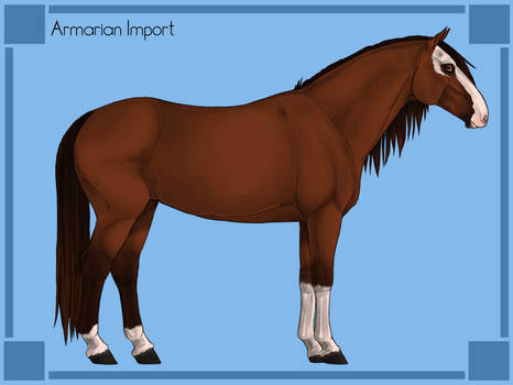 Horsy1050 Armarian Horse