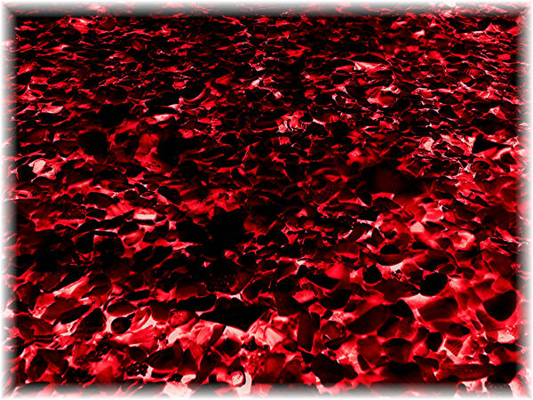 Red Shells by Blackbird909 on DeviantArt