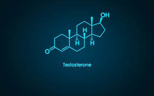 Testosterone