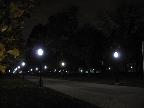 Quad at Night