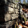 Flowing Water from a Stone Wall