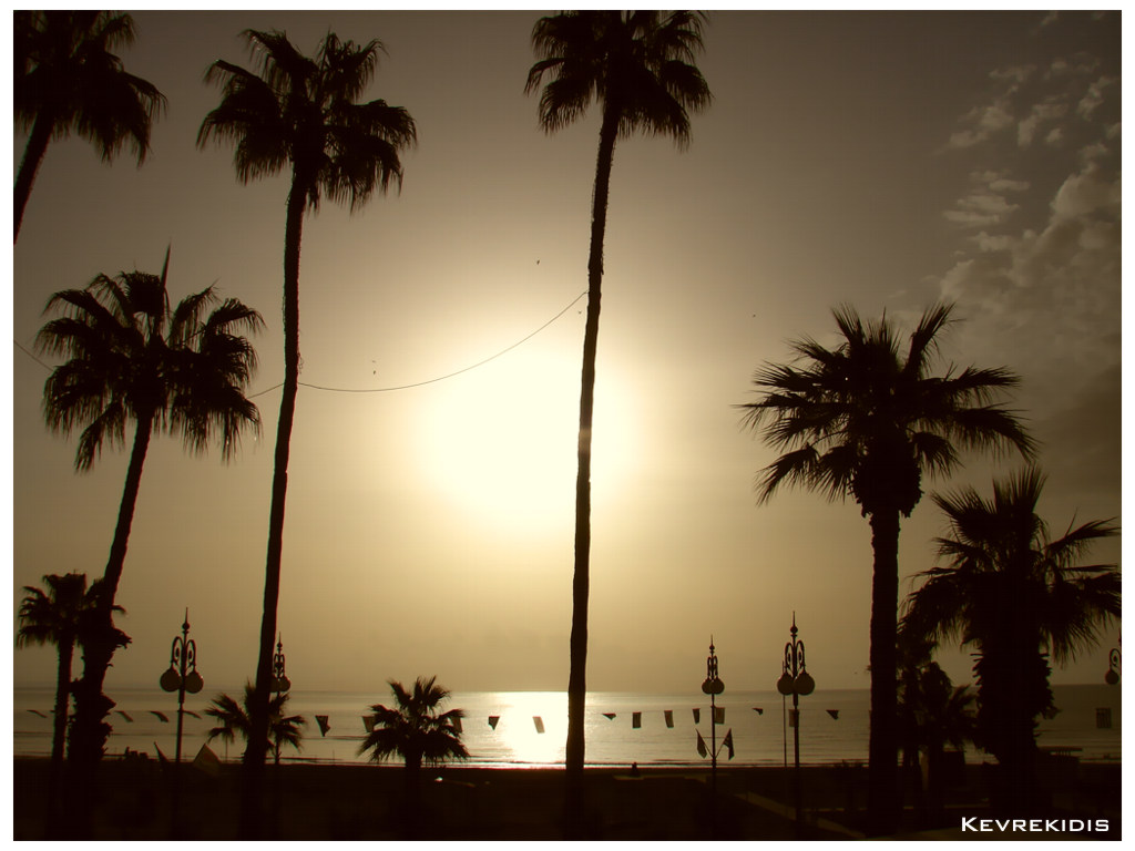 Phinikoudes Beach Larnaca