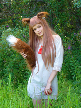 Spice and wolf