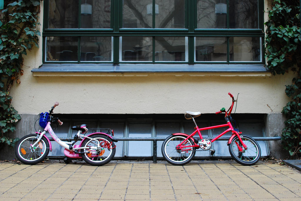 Parked Bicycles