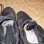 My old gym sneaker and my old slippers