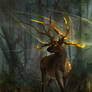 Elara : Deer guardian