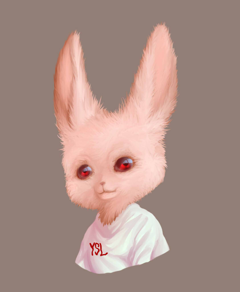 Rabbit XD