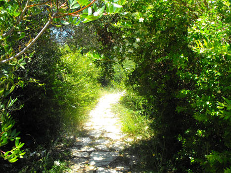 Corfu greenery