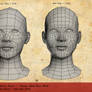 'Female Head Bases' Low, Mid n High Poly