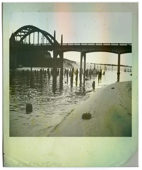 polaroid.