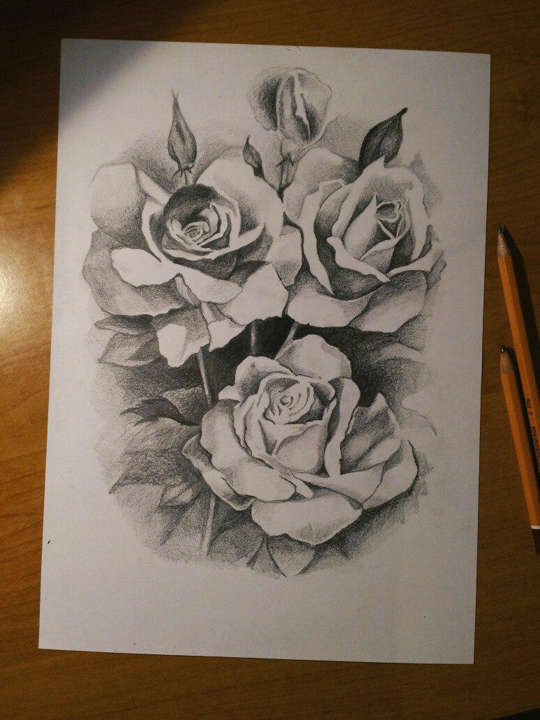 People Drawing Roses Roses drawing by alexeyvakarchuk on DeviantArt