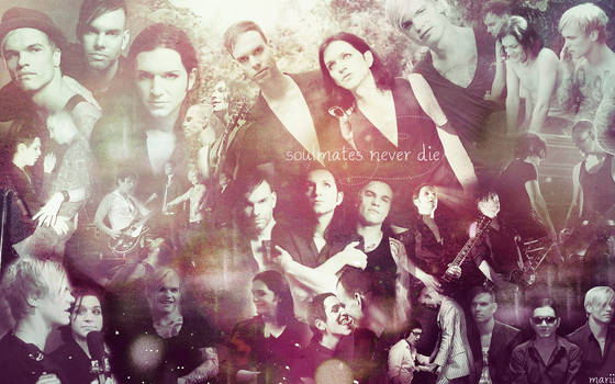 Placebo - soulmates never die