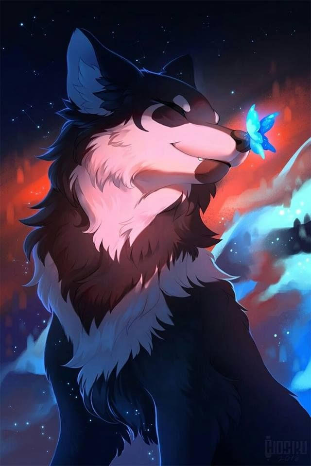 Butterfly wolf wallpaper by GalaxyPusheenDonut on DeviantArt